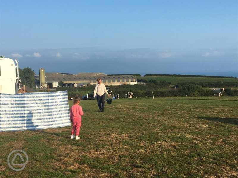 Hotel Carreg Y Gwynt Campsite - Touring And Tent Pitches Llanarth  Exterior foto