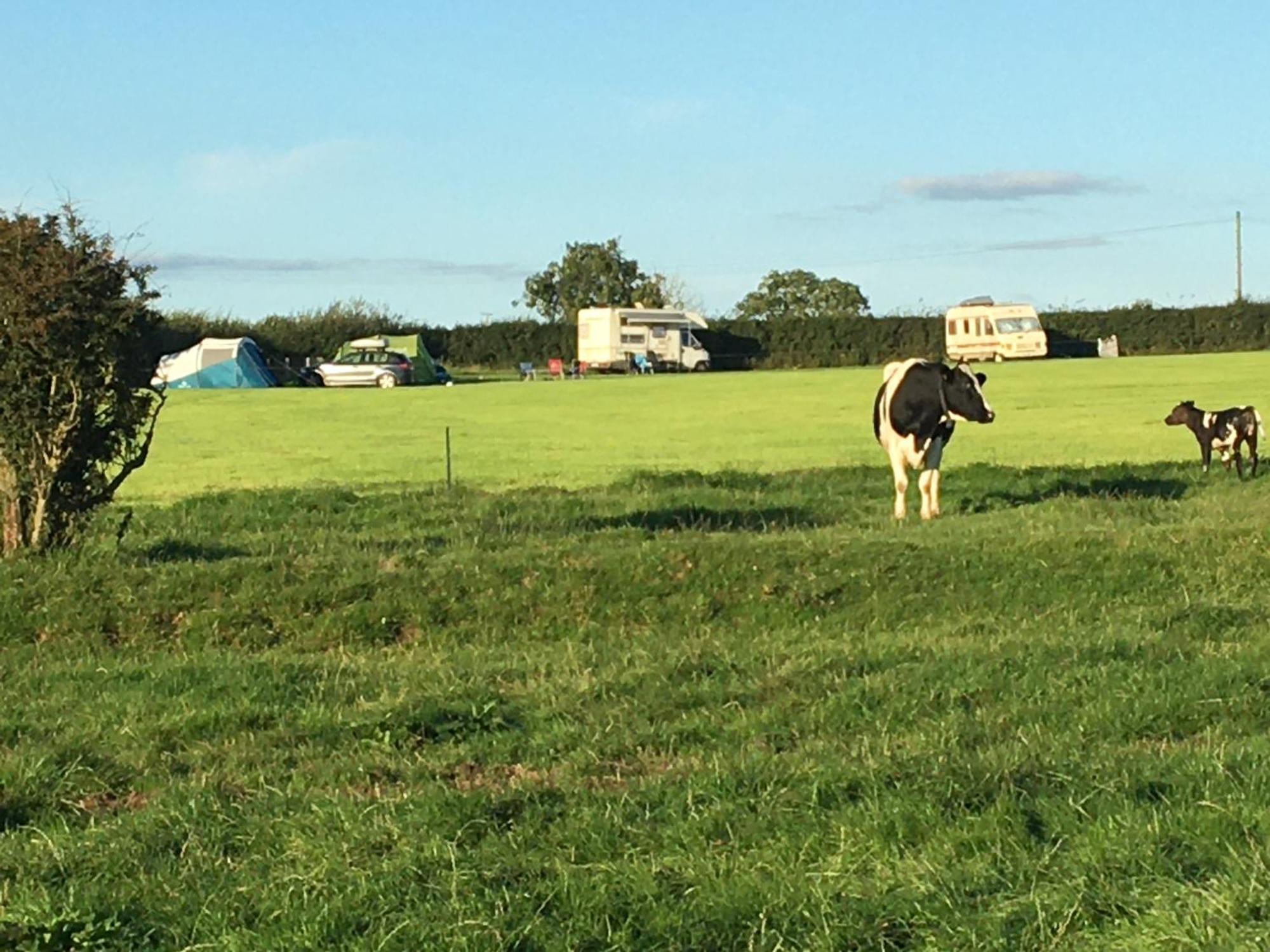 Hotel Carreg Y Gwynt Campsite - Touring And Tent Pitches Llanarth  Exterior foto